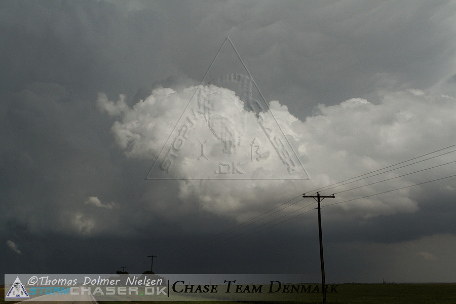 IMG_8829_DxO_raw
